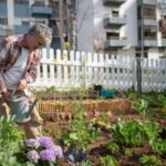 Demo – Vall Garden and Landscaping